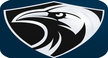 دانلود فیلتر شکن سریع و تیز Raven VPN