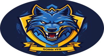دانلود مستقیم فیلتر شکن GORGI VPN برای موبایل