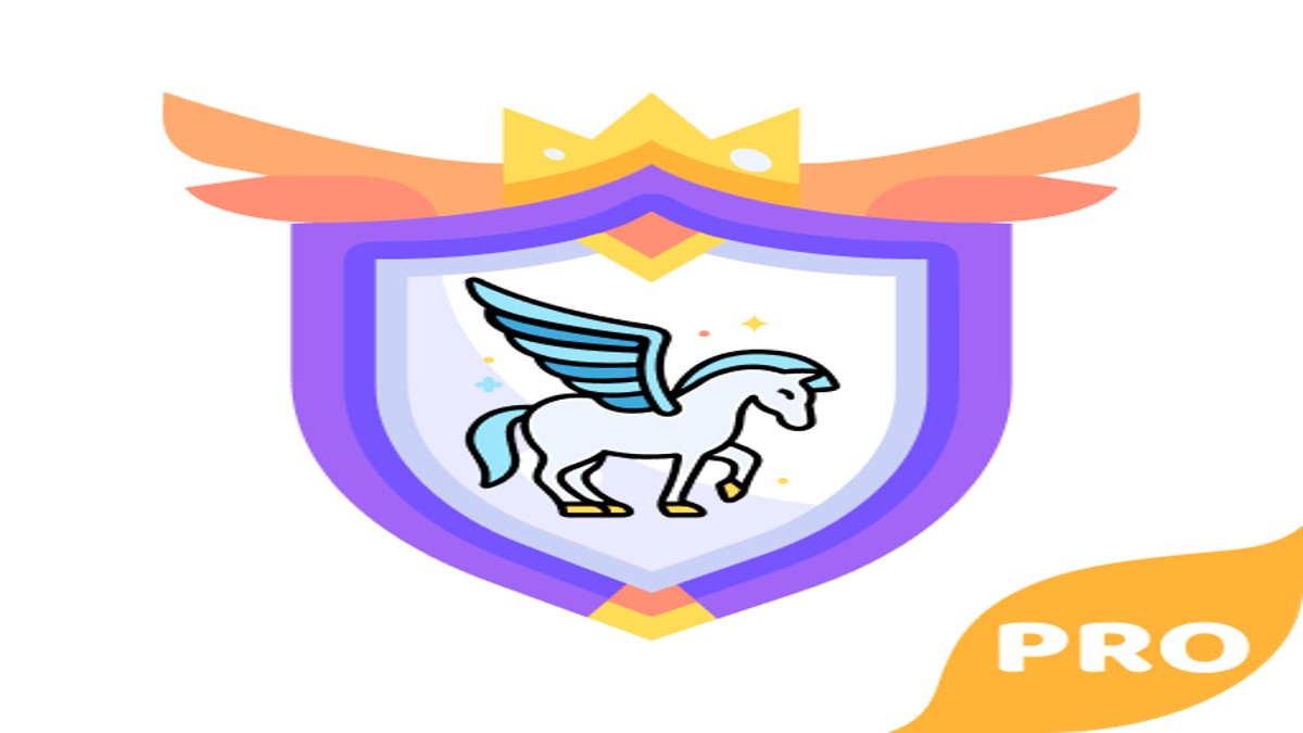 وبگردی ناشناس با برنامه Pegasus VPN PRO