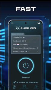 Alice VPN