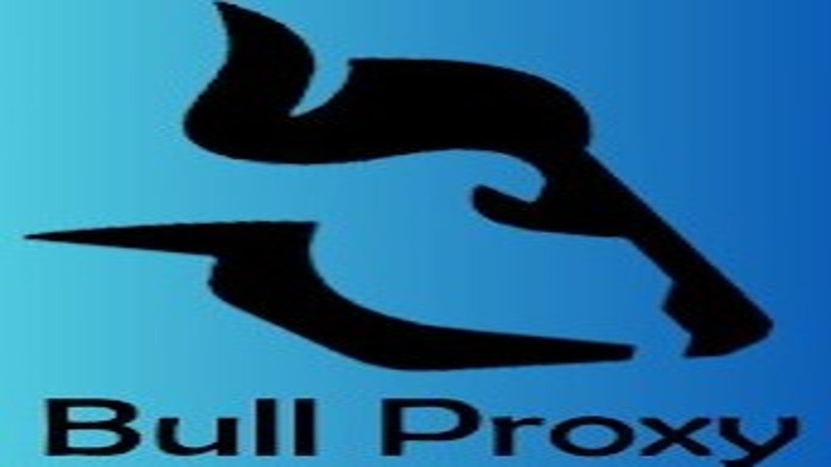 دانلود وی پی ان جهانی BULL VPN