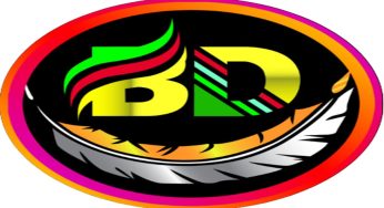 وی پی ان هواوی BD NET VPN + دانلود مستقیم