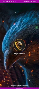 نصب نسخه پرو وی پی ان Eagle VPN Pro