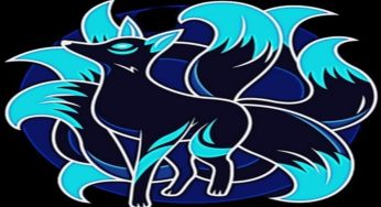 وی پی ان کم حجم و قوی Nine Tail VPN