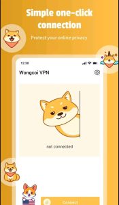 دانلود وی پی ان قدرتمند روباه Wongcoi VPN