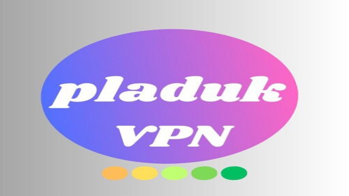 نصب وی پی ان جدید PLADUK VPN