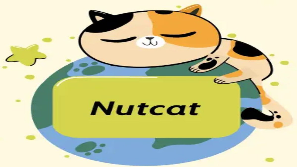 دانلود وی پی ان صدرصد فعال Nutcat VPN