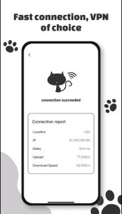 دانلود وی پی ان گربه PhantomCat VPN