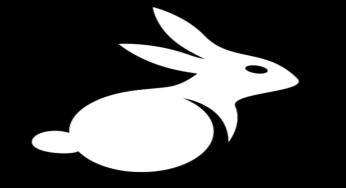 وی پی ان قوی برای بازی پابجی موبایل BunnyX VPN