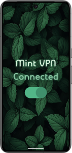 فیلتر شکن منت وی پی ان Mint VPN + اتصال بدون دردسر