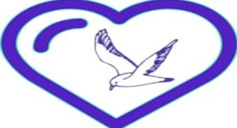 وی پی ان نامحدود رایگان و پرسرعت Love Birds Vpn برای بازی پابجی