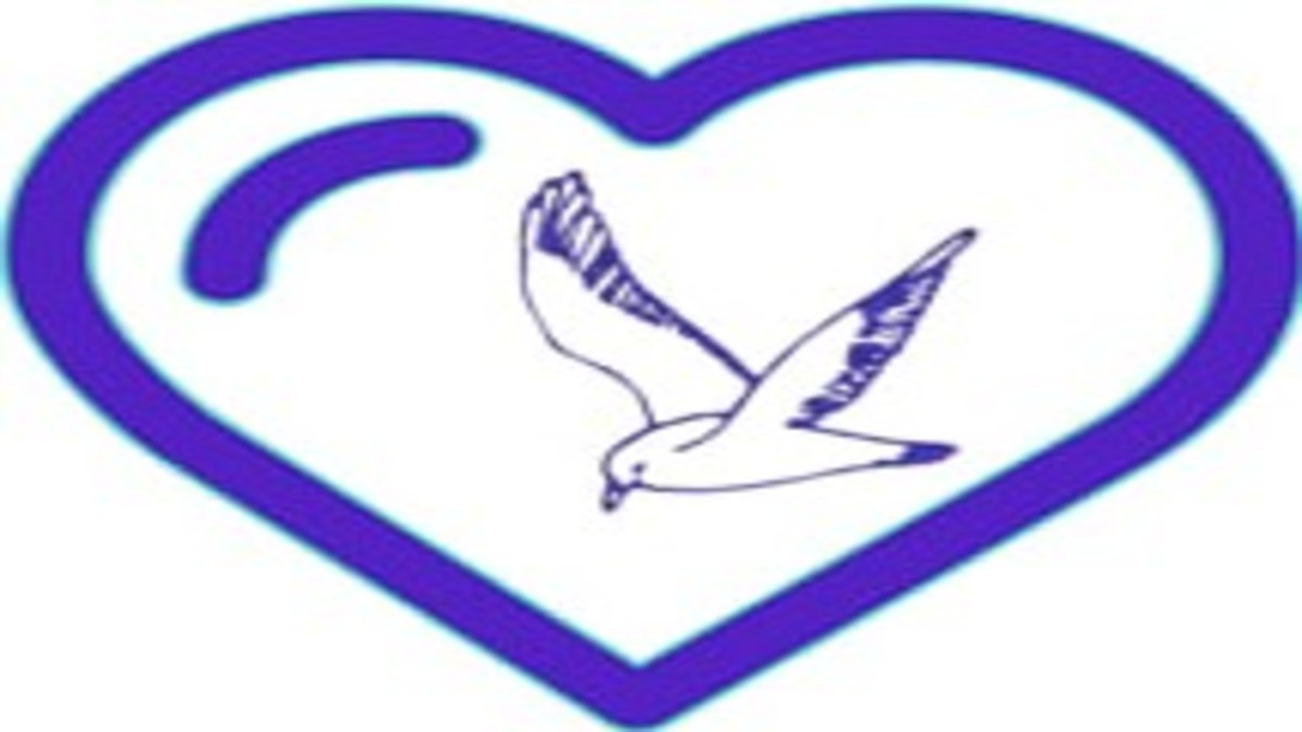 وی پی ان نامحدود رایگان و پرسرعت Love Birds Vpn برای بازی پابجی