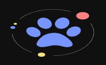 دریافت فوری Lightning Cat VPN برای کپ کات و تولید محتوا
