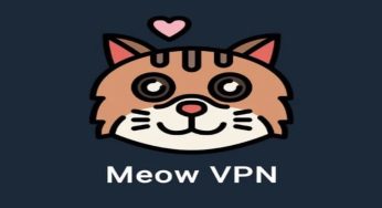 دسترسی به آی پی آمریکا با Meow VPN قوی و جدید