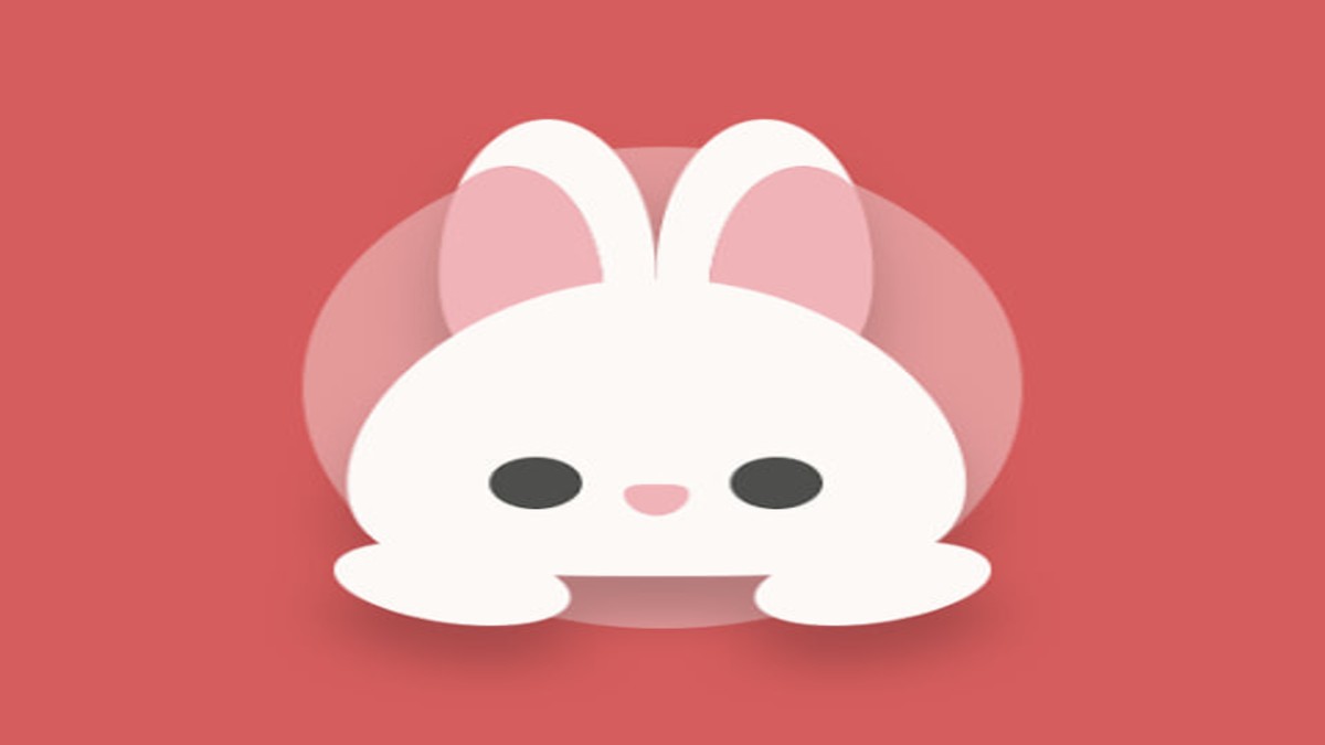 فیلتر شکن عکس خرگوش BunnyNet VPN نسخه 2025