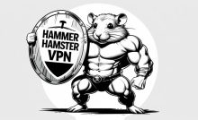دریافت نسخه نهایی Hammer Hamster VPN